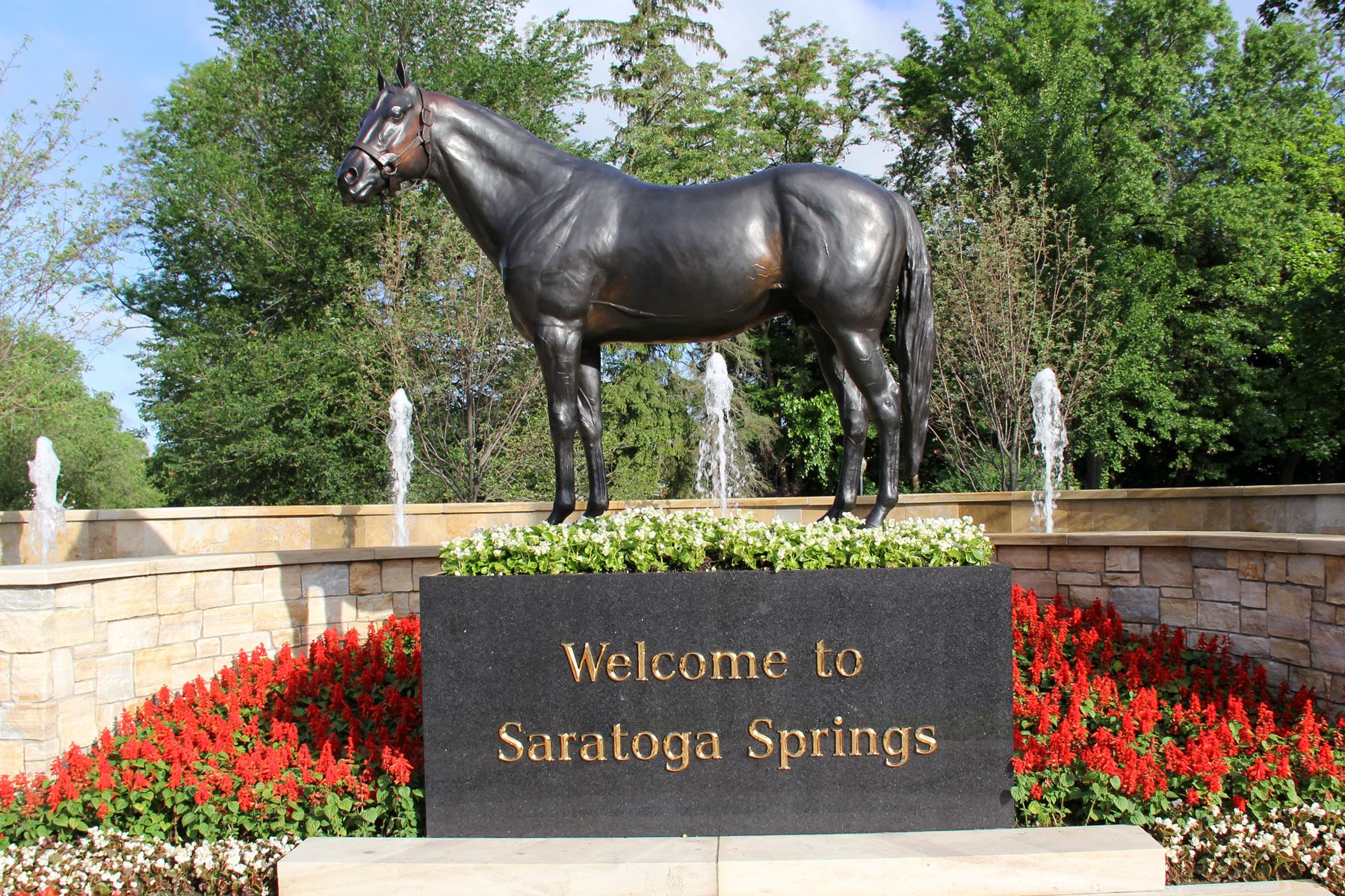 <span style="font-size:20px; font-weight:bold">Saratoga</span>